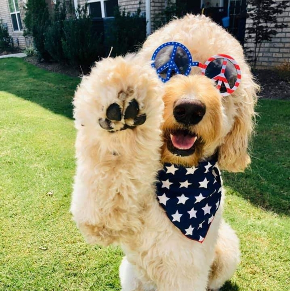 Meet your Posher, Teresa - Picture 1 of 1